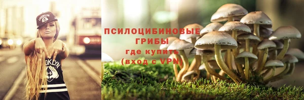 марки nbome Коряжма