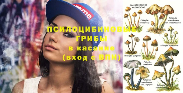 спайс Краснослободск