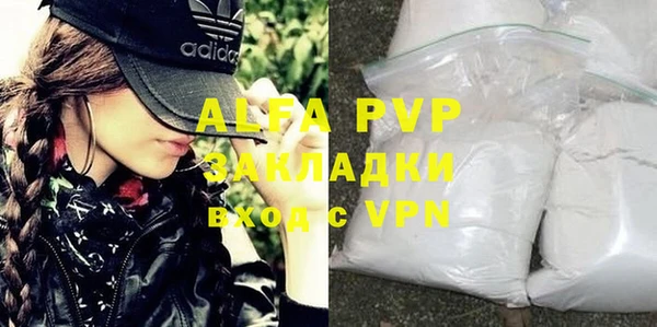индика Гатчина