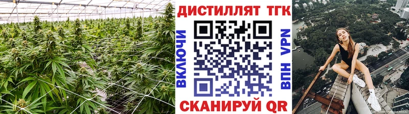 сколько стоит  Мариинск  ТГК THC oil 